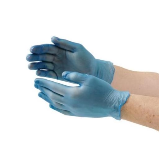 Disposable Vinyl Gloves Powder Free (Pack of 100)
