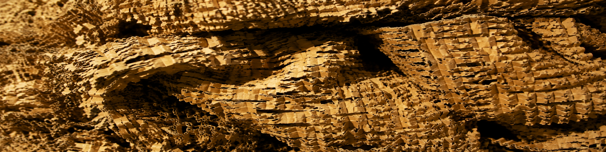 ChatGPT Image May 14, 2026, 11_11_38 PM.png